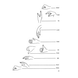 Kod&aacute;ly's Principles in Practice