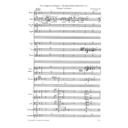 Two Imaginary Dialogues (2011)