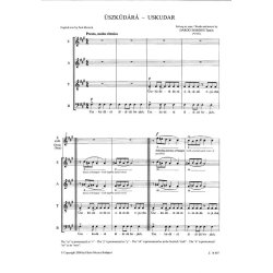 &Uuml;szk&uuml;d&aacute;r&aacute; - Uskudar