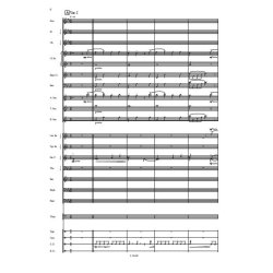 Promenade : Classical variations on a march theme