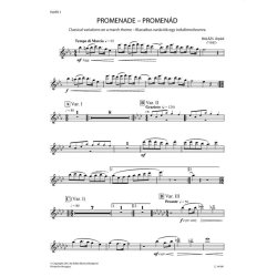 Promenade : Classical variations on a march theme