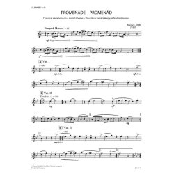 Promenade : Classical variations on a march theme