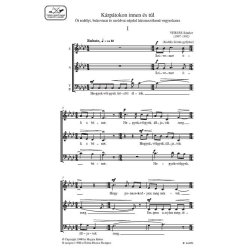 K&aacute;rp&aacute;tokon Innen &Eacute;s T&uacute;l : &Ouml;t erd&eacute;lyi, bukovinai &eacute;s moldvai n&eacute;pdal h&aacute;romsz&oacute;lam&uacute; vegyeskarra