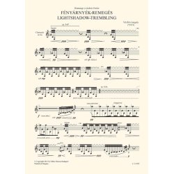 Lightshadow-Trembling : for solo clarinet (in Sib)