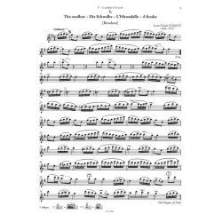 Advanced Level Duos / Duos f&uuml;r Fortgeschrittene : Kammermusikserie mit variabler Besetzung