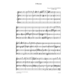 Advanced Level Quartets / Quartette f. Fortgeschr. : Kammermusikserie mit variabler Besetzung