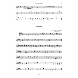 Advanced Level Quartets / Quartette f. Fortgeschr. : Kammermusikserie mit variabler Besetzung