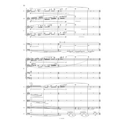 Poly For Chamber Ensemble