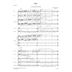 Poly For Chamber Ensemble