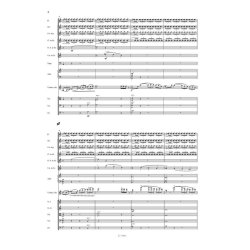 Violin Concerto No. 2 (211)