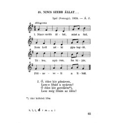 Tulipaln - 95 ungarische Volkslieder