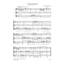 21 Gyermekkar : We&ouml;res S&aacute;ndor verseire