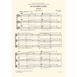 Az otthon &eacute;jjel : Text by Orsolya Karafi&aacute;th