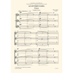 Az otthon &eacute;jjel : Text by Orsolya Karafi&aacute;th