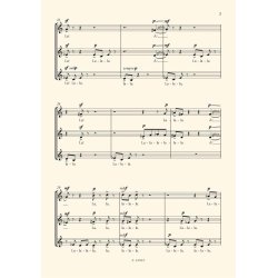 Az otthon &eacute;jjel : Text by Orsolya Karafi&aacute;th