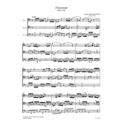 Chamber Music for/ Kammermusik f&uuml;r Violoncelli 16