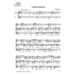 Laudate Dominum (Psalmus 116)