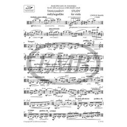 Study : for violo solo