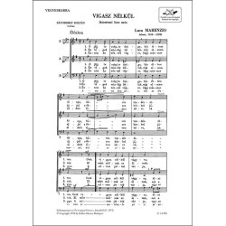 Vigasz n&eacute;lk&uuml;l