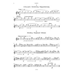 Quartets for flute : some with alto flute