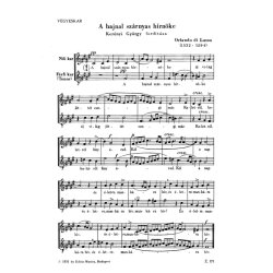 M&eacute;g h&uuml;s a l&eacute;g: A hajnal sz&aacute;rnyas h&iacute;rn&ouml;ke