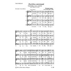 Zsoldos szeren&aacute;d (Matona mia cara) / &Uuml;nnepi zene