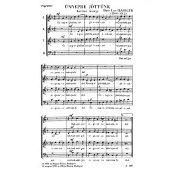 &Uuml;nnepre j&ouml;tt&uuml;nk