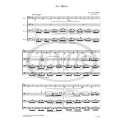 Chamber Music for Violoncellos 17 : for 4 violoncellos