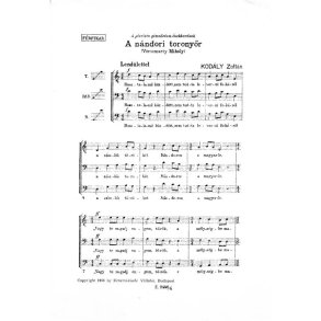 The Watchman of Nándor