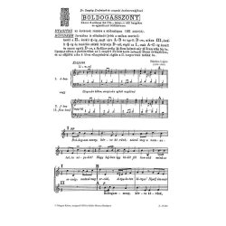 Boldogasszony : f&eacute;rfik&oacute;rusra