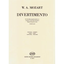 Divertimento (k.V. 207) f&uuml;r Schul-Bl&auml;serensZle : f&uuml;r Fl&ouml;te, Oboe, Klarinette, Horn und Fagott