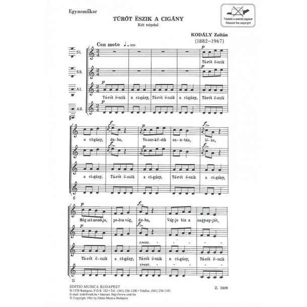 Turot Eszik a cigany (ungar.)