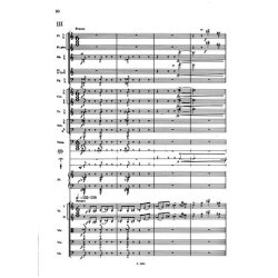 Konzert f&uuml;r Violine und Orchester