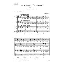 Ma z&ouml;ld mez&ouml;n j&aacute;rtam