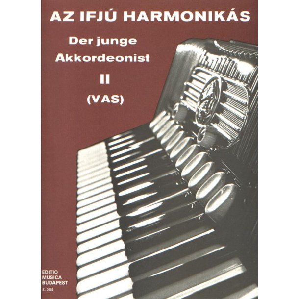 Der junge Akkordeonist