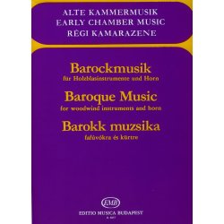 Barockmusik f&uuml;r Holzblasinstrumente und Horn : f&uuml;r Holzblasinstrumente und Horn