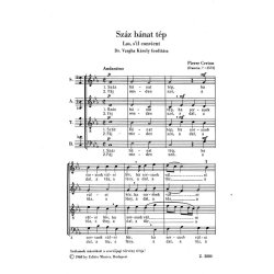 R&eacute;gi mesterek vegyeskarai V11