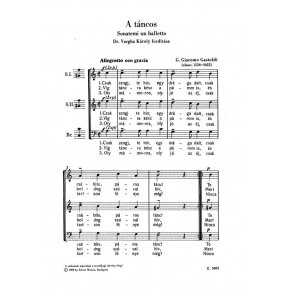 Régi mesterek vegyeskarai V13