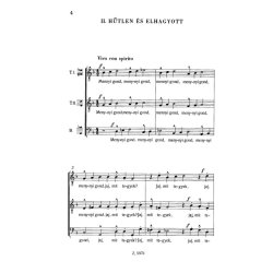 K&eacute;t madrig&aacute;l f&eacute;rfikarra