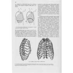 The Art of Brass Playing