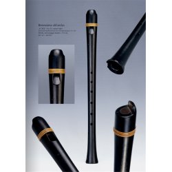 A furulya : A modern handbook in Hungarian