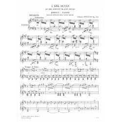 Holdf&eacute;nyes &eacute;j