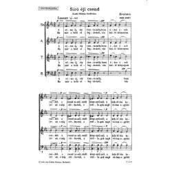 S&iacute;r&oacute; &eacute;ji csend