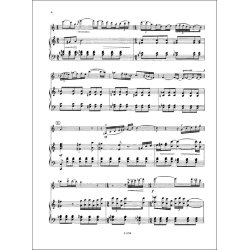 Concertino : f&uuml;r Violine und Orchester