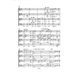 T&uuml;z-sziv&aacute;rv&aacute;ny