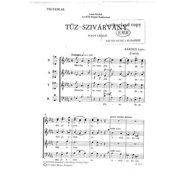 T&uuml;z-sziv&aacute;rv&aacute;ny