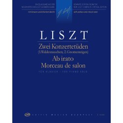 Two Concert Studies, Ab irato, Morceau de salon : Waldesrauschen, Gnomenreigen