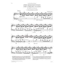 Two Concert Studies, Ab irato, Morceau de salon : Waldesrauschen, Gnomenreigen