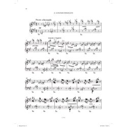 Two Concert Studies, Ab irato, Morceau de salon : Waldesrauschen, Gnomenreigen