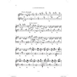 Two Concert Studies, Ab irato, Morceau de salon : Waldesrauschen, Gnomenreigen